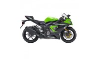 2013-2018 Kawasaki ZX6R Verkleidungen Verkauf