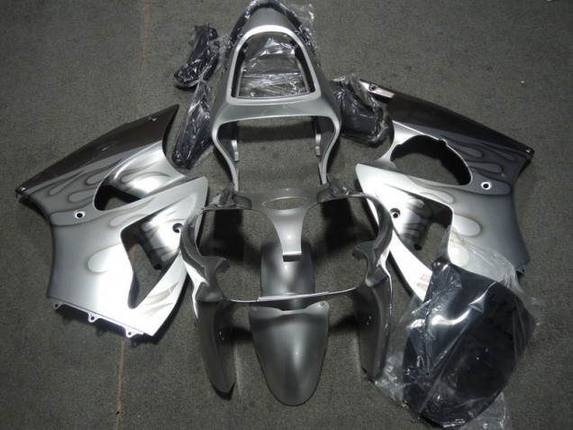 Kawasaki ZX6R 2000-2002 Verkleidungen - Silber Flamme Verkauf