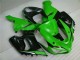 Kawasaki ZX6R 2005-2006 Verkleidungen - Grün Weiß Schwarz Verkauf