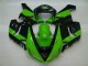 Kawasaki ZX6R 2005-2006 Verkleidungen - Grün Schwarz Verkauf