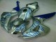 Honda CBR 1000 RR 2006-2007 Verkleidungen - Blau Flamme Silber Verkauf Honda CBR 1000 RR 2006-2007 Verkleidungen - Blau Flamme Silber Verkauf