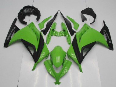 Kawasaki ZX 300R 2013-2016 Verkleidungen - OEM Stil Grün Verkauf